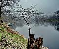 adda (98)
